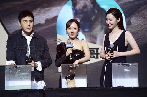 娱乐圈直播吃瓜汇总,揭秘明星幕后故事